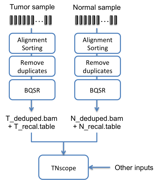 ../../_images/fig-tnscope.png