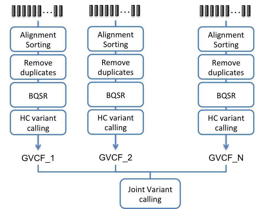 ../../_images/fig-multiple_diff_sm_gvcf.png