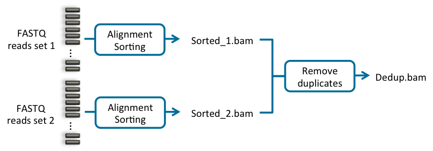../../_images/fig-multiple_same_sm.png