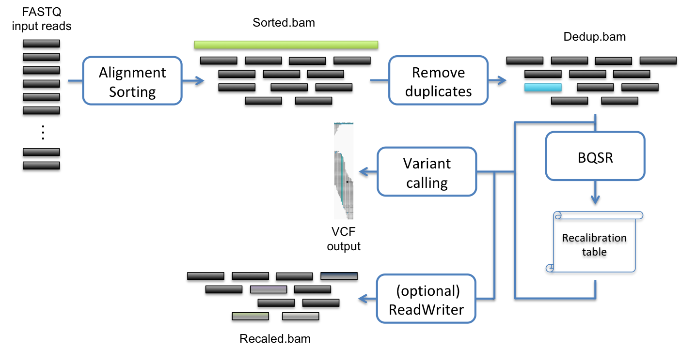 ../../_images/fig-dnaseq.png