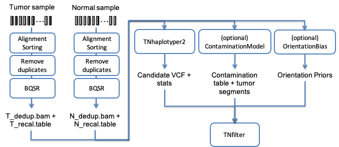 ../../_images/fig-tnseq.png